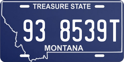 MT license plate 938539T