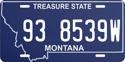 MT license plate 938539W