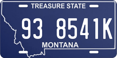 MT license plate 938541K