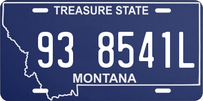 MT license plate 938541L