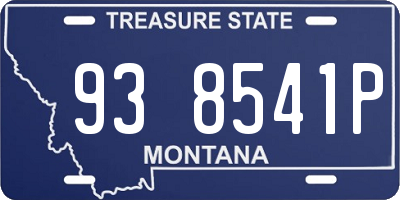 MT license plate 938541P