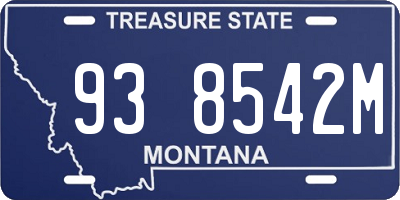 MT license plate 938542M