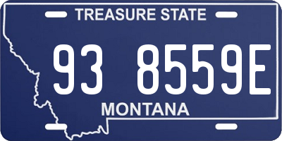 MT license plate 938559E