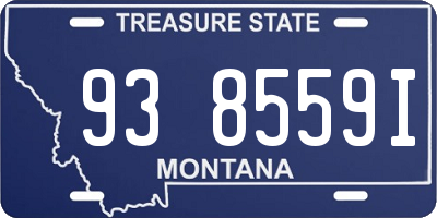MT license plate 938559I