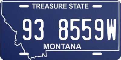 MT license plate 938559W