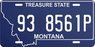 MT license plate 938561P