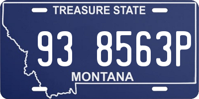 MT license plate 938563P