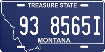 MT license plate 938565I