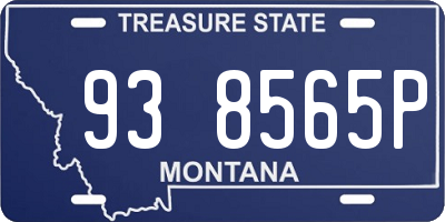 MT license plate 938565P