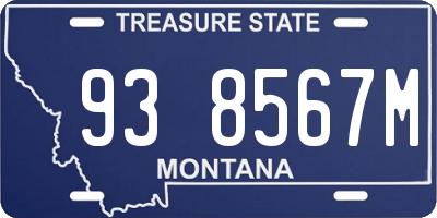 MT license plate 938567M