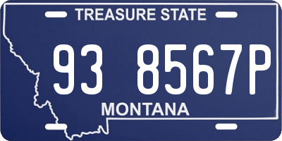 MT license plate 938567P