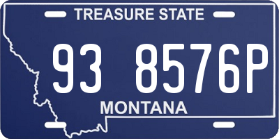 MT license plate 938576P