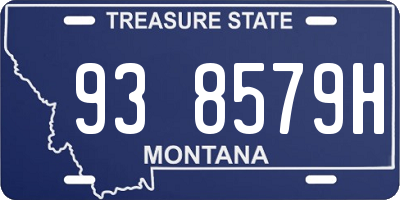 MT license plate 938579H