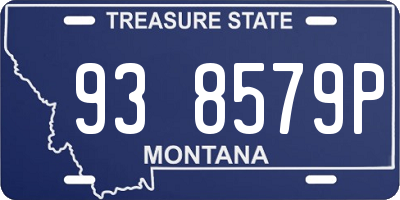MT license plate 938579P