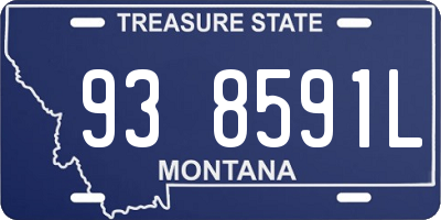 MT license plate 938591L