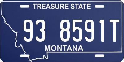 MT license plate 938591T