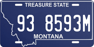 MT license plate 938593M