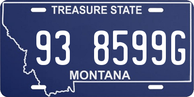 MT license plate 938599G