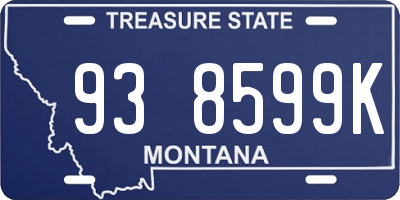 MT license plate 938599K