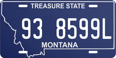 MT license plate 938599L