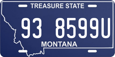MT license plate 938599U