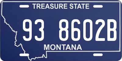MT license plate 938602B