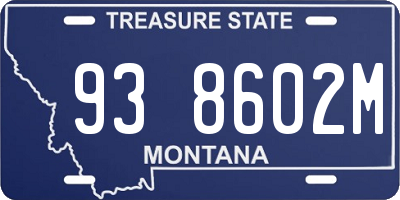MT license plate 938602M