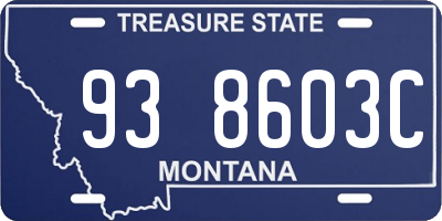 MT license plate 938603C