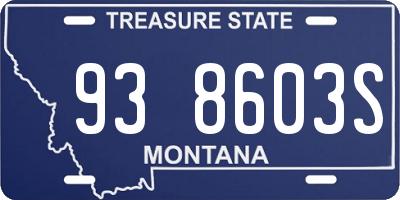 MT license plate 938603S