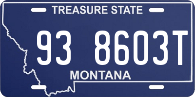 MT license plate 938603T