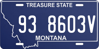 MT license plate 938603V