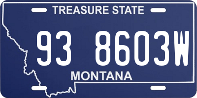 MT license plate 938603W