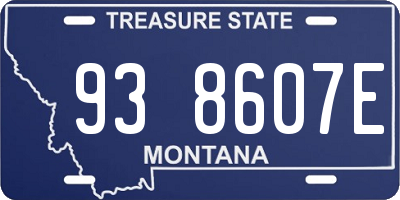 MT license plate 938607E
