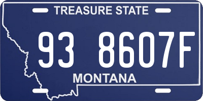 MT license plate 938607F