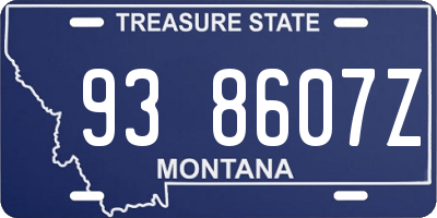 MT license plate 938607Z