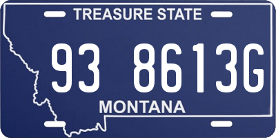 MT license plate 938613G