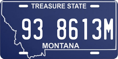 MT license plate 938613M