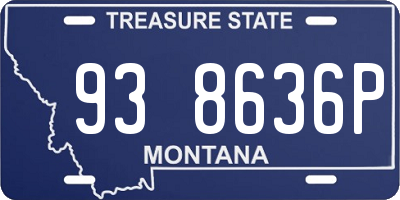 MT license plate 938636P
