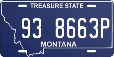 MT license plate 938663P