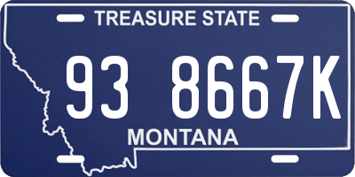 MT license plate 938667K