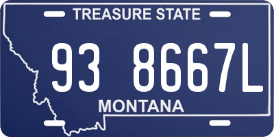 MT license plate 938667L