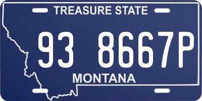 MT license plate 938667P