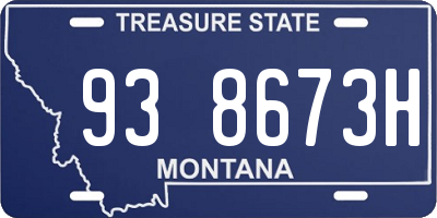 MT license plate 938673H