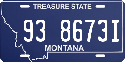MT license plate 938673I