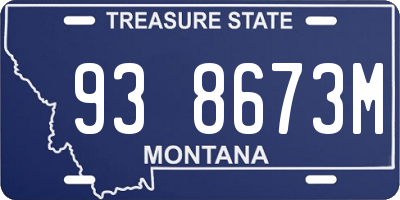 MT license plate 938673M