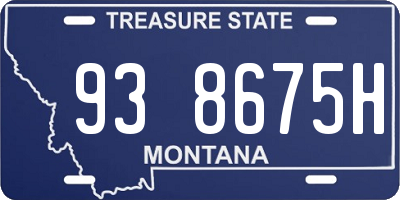 MT license plate 938675H