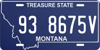 MT license plate 938675V