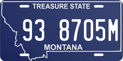 MT license plate 938705M