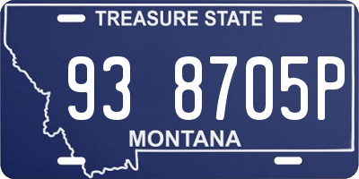 MT license plate 938705P
