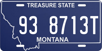 MT license plate 938713T